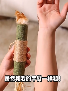 Cat Molar Stick Cat Toy Self-Happy Relieving Boredom Teasing Cat Stick Scratch-Resistant Catnip Ball Cat