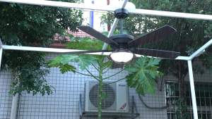 GEJIESE 52/42inch IP65 Waterproof Ceiling Fan with Light: Modern Design & Tricolor Dimming