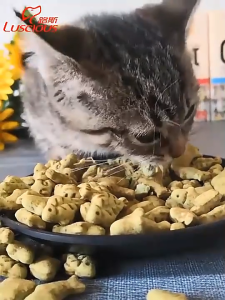 【SG Seller】Catnip Biscuits 80g High Nutrition Cat Treats Eliminate Bad Breath Preventing Hairballs Dry Cat Food