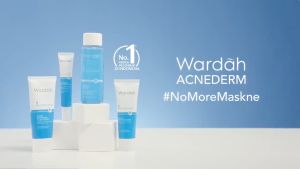 Wardah Acnederm Series || Cleanser Toner Day Night Cream Acne Pore Blackhead Gel Face Powder ACNEDERM SERIES