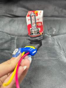 Phyllis แท้ หลอดไฟ HB3 9005 12V 65W หลอดไฟหน้า ไฟตัดหมอก ไฟสูง ปลั๊กไฟหน้า ปลั๊กไฟสูง