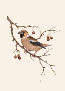 1Pc Frameless Vintage Goldfinch Landscape Bird Flower Wall Art Canvas Painting Nordic Posters Prints Wall Pictures for Living Ro