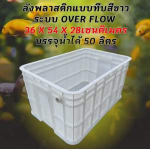 ลังพลาสติกแบบทึบสีขาว ระบบover flow สำหรับเลี้ยงปลา อ่างเลี้ยงปลา กะบะเลี้ยงปลา อ่างปลาบอลลูน อ่างปลาเมกาดะ อ่างปลาดะ