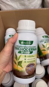 (Chai 500ml) Chế phẩm nấm đối kháng Trichoderma SFARM dạng lỏng giúp cây bung rễ mạnh bảo vệ cây trồng và cải tạo đất