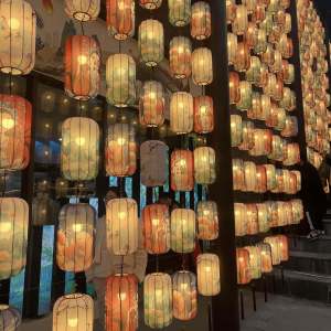 Trang Trí Đèn Lồng Vải Co Giãn Mới Trung Quốc Phong Cách Dân Tộc Chống Thấm Nước Mùa Đông Cho Nhà Hàng Nhà Hàng Du Lịch Khu Giải Trí