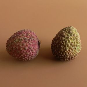 Litchi Fruit Shape Silicone Ice Cream Block Mousse Cake Jelly Ice Cube Candle Kitchen Baking Mold Food Grade Silicone Candle