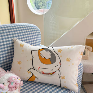 Cartoon Cat Teacher Baby Skin Velvet Comfortable Heattech Pillowcase Fall and Winter Season Double-Sided Warm Fleece Thick Pillowcase