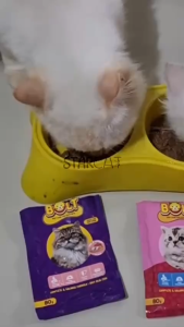 Bolt Pouch 80gr All Variant | Makanan Kucing Sacet Basah Bolt 80gr Wet Food Adult Kitten WET FOOD GPO