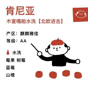 TangShui Nordic Assault Wood Checking Water Washed AA Hawsberry Hand Pour Cold Brew Single Origin Coffee Beans