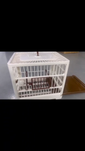 Lovinland Bird Cages Parrot Habitat Pet Birds House With Easy Clean Pull Out Tray Feeder Waterer Folding Pigeon Box accessories