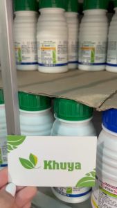 Thuốc trừ bệnh Anvil 5SC 250ml Syngenta Nấm Hồng - Vàng Lá - Rỉ Sắt