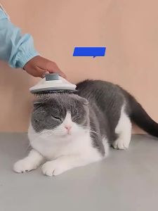 7o | Detangling Floating Hair Removal Cat Comb