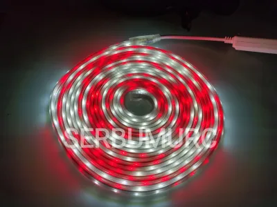 Paket Strip Merah Putih / Warnawarni LED Selang Lengkap Adaptor Outdoor AC 220V Lampu Hias Agustusan