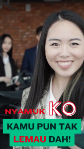 Shieldtox Mosquito Knockdown Spray Aerosol Huat Tiong