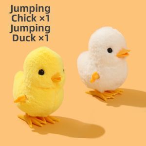 Walking Wind-Up Plush Chicken Toy