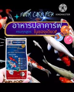 อาหารปลาคาร์ฟ เกรดพรีเมี่ยม ปลาคราฟน้องภูมิ สูตร 3 in 1 (เร่งโต+เร่งสี+ป้องกันโรค) (บรรจุถูก 1.5 กก.)
