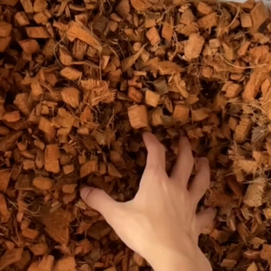 【5L Coco Chip】 椰壳让土壤变得保水和滲透 Coconut Shells Make The Soil Water-Retaining and Permeable