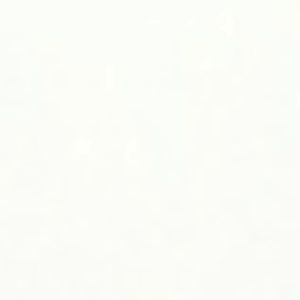 Flyco FC5805PH Professional Men Baby And Adult Hair Clippers Rechargeable Electric Razor