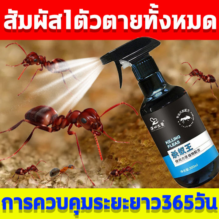 🐜🐜การทำลายล้างทั้งหมด🐜 ยาฆ่ามด ยากำจัดมด กำจัดมด สามารถฆ่ามดทั่วไปได้ ...