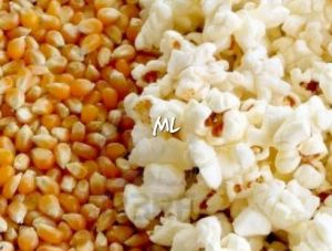 jagung popcron mentah original