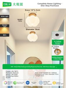 DGY | Creamy Minimalist Entryway Light Fixture