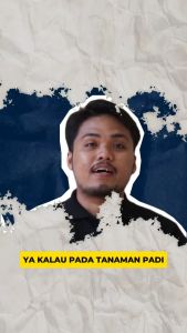 Fungisida Pestisida – Mahakam Kapuas 560 SC 250 ml- Pembasmi Hama Penyakit Tanaman Kentang