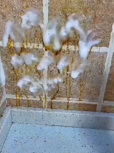 【 In Stock 】Kitchen Oil Stain Remover Range Hood Cleaner Strong Degreasing Cleaner Spray 625ml Penghilang Noda Minyak油污清洁剂