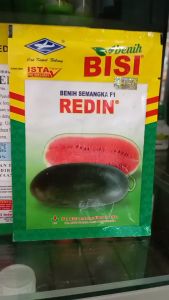 Benih Semangka REDIN F1 20 Gram Benih Bisi Cap Kapal Terbang