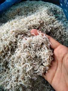 Teri nasi halus ukuran 1 kg