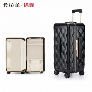 Caran·Y | Large Capacity PC Luggage 20 inches