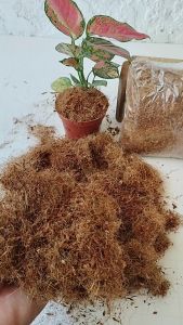 Odorless Coco Fiber Fertilizer: A Chemical-Free Solution for Home & Outdoor Use
