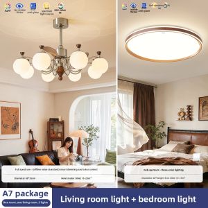 HUIPU ZHAOMING | Retro Intelligent Eye-Protecting Fan Light