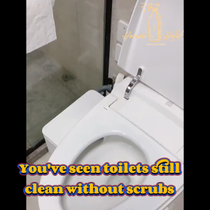 240G TOILET BOWL CLEANER | REMOVE BACTERIA & ODOR | BUNDLE (MP18)