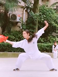 Kipas Tangan Lipat Kungfu & Kipas Silat Pertunjukan