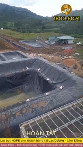 Bạt lót ao hồ 8m x 14m dày 0.5mm bảo hành 5 năm