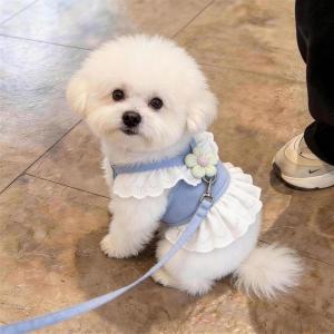Đầm Mỏng Chống Rụng Lông cho Thú Cưng mùa Xuân và Hè