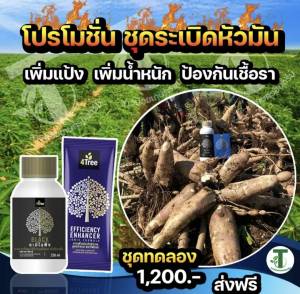 โฟร์ทรี4tree  อะมิโนไบโอแบล็ค สารอารพืชเพิ่น้ำหนักเพิ่มขนาด