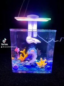 Bể Cá Betta Mica (có nắp) Siêu Trong Hiện Đai 15x15x12cm
