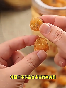 特优级 桂圆无壳 800g 赠送 5g Dried Longan Meat 天然无硫 Longan Kering 精选整颗 果肉饱满 Tanpa Biji Sulfur-free 煲汤炖汤 Soup Cooking 煮水代茶 Herbal Tea Brewing 补气养血 Nourish Qi Blood 安神助眠 Calm Mind Sleep