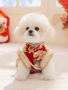 hipidog | Đầm Lễ Hội Năm Mới Cho Chó Nhỏ