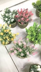 Set Pohon Tanaman Hias Plastik: Aneka Macam & Dekorasi