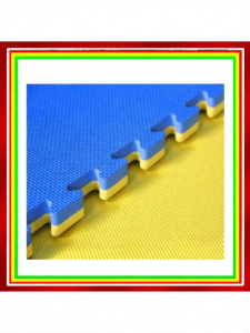 MOLORE | Shock Absorbing Sports Mat for Yoga Dancing Gymnastics Martial Arts