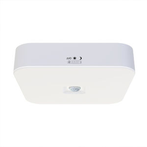 Motion Sensor Ceiling Light Wireless LED Closet Light with Auto-On/Off 100° Detection for Closet Pantry Laundry Bathroom