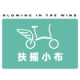 Fuyao Bob Global