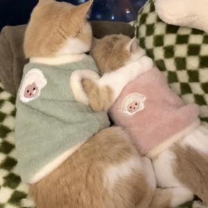 Warm Fleece Cat Clothes for Winter Anti Shedding Cute Ins Gold Layered Dollface Short Legged British Blue Cat Warmth Protection