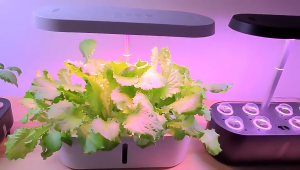 Smart Hydroponics LED Indoor Garden 8 pods Grow Kits w/ Plant Food A&B