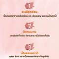 บรัชออน PALA Beauty Ombre Bicolors Powder Brusher (รับตรงแบรนด์). 