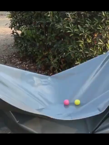 50 tahun tanpa kerusakan DL Terpal plastik Terpal Anti Air 2×4/3x5/4x6Meter Tahan panas dan hujan yang kental Perlindungan UV100%(Tarpaulin terpal mobil truk tebal Terpal Murah Terpal Plastic Warung terpal tebal murah terpal kolam ikan Terpal Kuat)