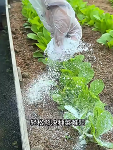 5KG Hydrated Lime High Quality Calcium Hydroxide(Ca(OH)2)Slaked Lime Apog For Gardening/Agriculture