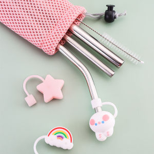 Portable Outdoor 304 Stainless Steel Straw Set with Cute Silicone Dustproof Cover for Drinks And Milk Tea Multi-Piece Set